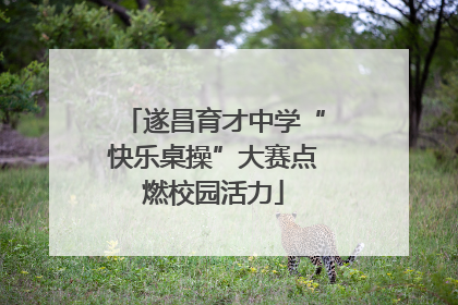 遂昌育才中学“快乐桌操”大赛点燃校园活力
