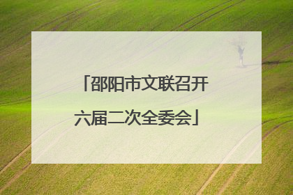 邵阳市文联召开六届二次全委会