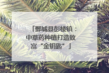 鄄城县彭楼镇：中草药种植打造致富“金钥匙”