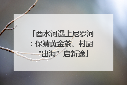 酉水河遇上尼罗河：保靖黄金茶、村厨“出海”启新途