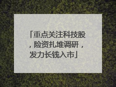 重点关注科技股，险资扎堆调研，发力长钱入市