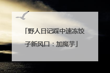 野人日记踩中速冻饺子新风口：加魔芋