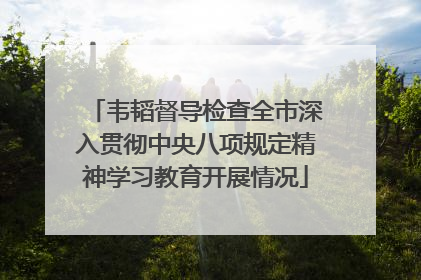 韦韬督导检查全市深入贯彻中央八项规定精神学习教育开展情况