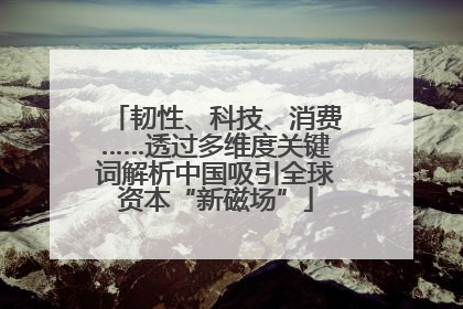 韧性、科技、消费……透过多维度关键词解析中国吸引全球资本“新磁场”