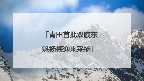 青田首批双膜东魁杨梅迎来采摘