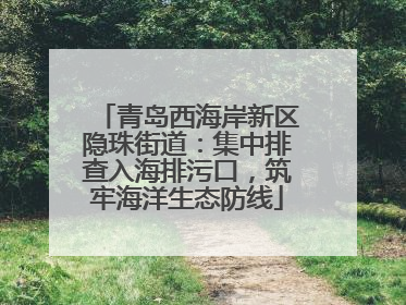 青岛西海岸新区隐珠街道：集中排查入海排污口，筑牢海洋生态防线