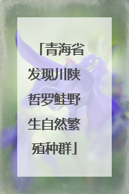 青海省发现川陕哲罗鲑野生自然繁殖种群