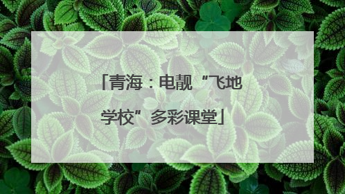 青海：电靓“飞地学校”多彩课堂