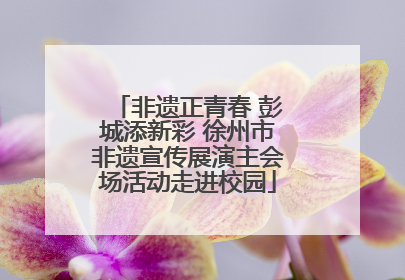 非遗正青春 彭城添新彩 徐州市非遗宣传展演主会场活动走进校园
