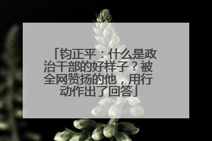 钧正平：什么是政治干部的好样子？被全网赞扬的他，用行动作出了回答
