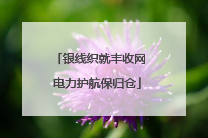银线织就丰收网 电力护航保归仓