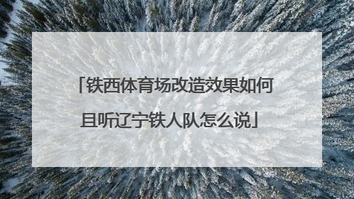 铁西体育场改造效果如何 且听辽宁铁人队怎么说