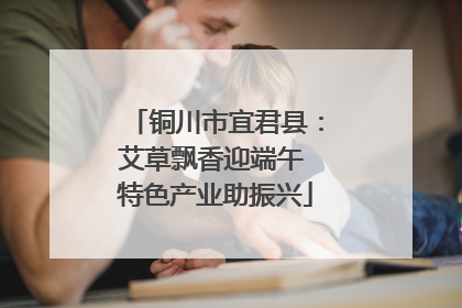 铜川市宜君县：艾草飘香迎端午 特色产业助振兴