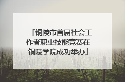 铜陵市首届社会工作者职业技能竞赛在铜陵学院成功举办