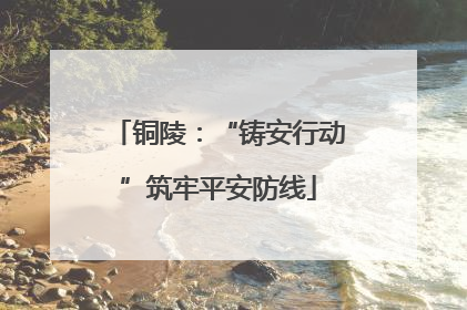 铜陵：“铸安行动”筑牢平安防线