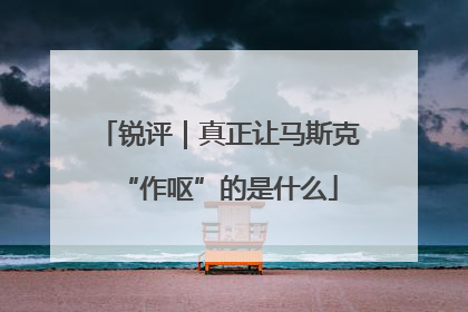 锐评｜真正让马斯克“作呕”的是什么