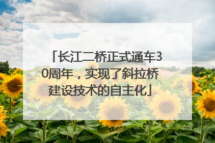 长江二桥正式通车30周年，实现了斜拉桥建设技术的自主化
