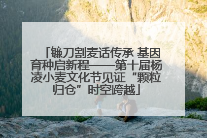 镰刀割麦话传承 基因育种启新程——第十届杨凌小麦文化节见证“颗粒归仓”时空跨越