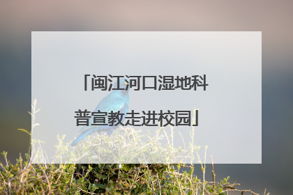 闽江河口湿地科普宣教走进校园