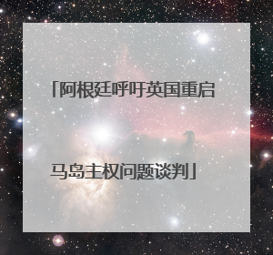 阿根廷呼吁英国重启马岛主权问题谈判
