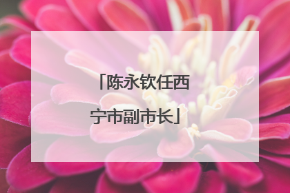 陈永钦任西宁市副市长