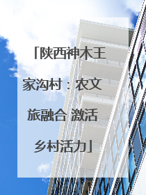 陕西神木王家沟村：农文旅融合 激活乡村活力