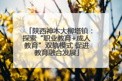 陕西神木大柳塔镇：探索“职业教育+成人教育”双轨模式 促进教育融合发展
