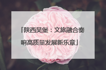 陕西吴堡：文旅融合奏响高质量发展新乐章