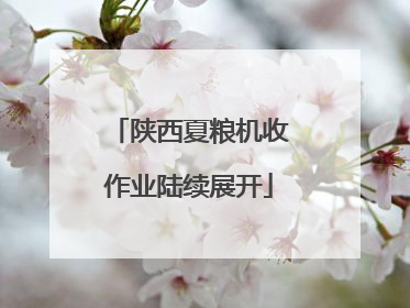 陕西夏粮机收作业陆续展开