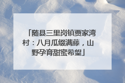 随县三里岗镇贾家湾村：八月瓜缀满藤，山野孕育甜蜜希望