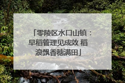 零陵区水口山镇：早稻管理见成效 稻浪飘香穗满田
