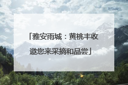 雅安雨城：黄桃丰收 邀您来采摘和品尝