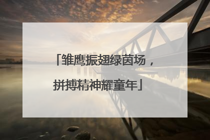 雏鹰振翅绿茵场，拼搏精神耀童年