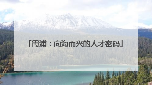 霞浦：向海而兴的人才密码