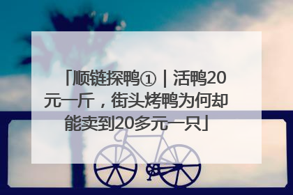 顺链探鸭①｜活鸭20元一斤，街头烤鸭为何却能卖到20多元一只