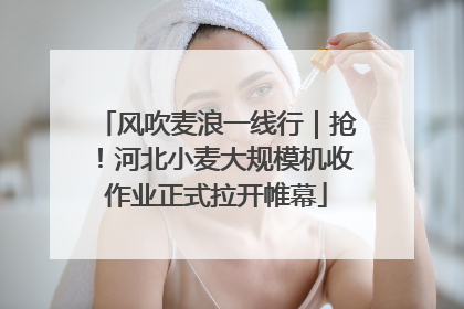 风吹麦浪一线行｜抢！河北小麦大规模机收作业正式拉开帷幕