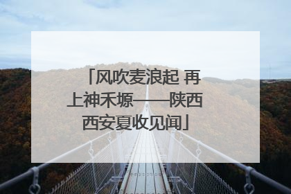 风吹麦浪起 再上神禾塬——陕西西安夏收见闻
