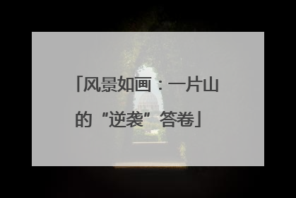 风景如画：一片山的“逆袭”答卷