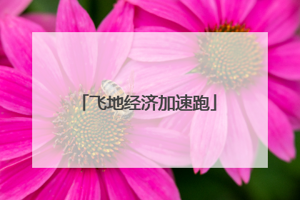 飞地经济加速跑