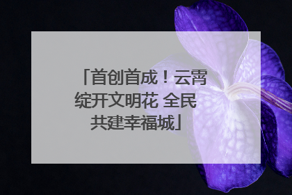 首创首成！云霄绽开文明花 全民共建幸福城