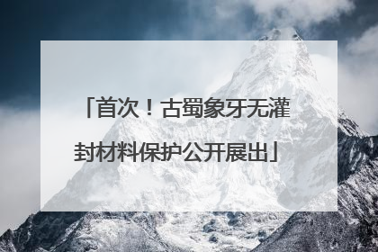 首次！古蜀象牙无灌封材料保护公开展出
