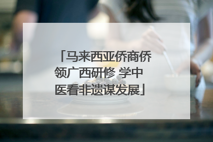 马来西亚侨商侨领广西研修 学中医看非遗谋发展