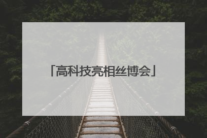 高科技亮相丝博会