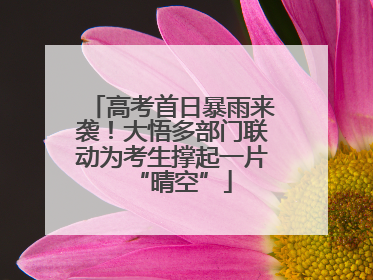 高考首日暴雨来袭！大悟多部门联动为考生撑起一片“晴空”