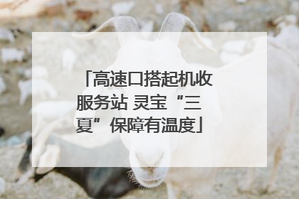 高速口搭起机收服务站 灵宝“三夏”保障有温度