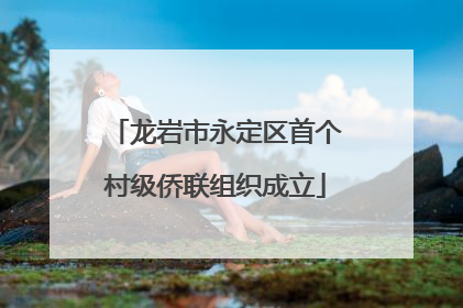 龙岩市永定区首个村级侨联组织成立