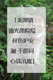 龙潭镇：锄光凿险隘 昼色护安澜 干群同心战汛魔