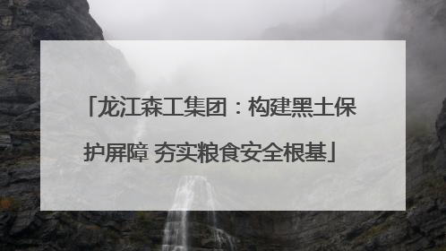 龙江森工集团：构建黑土保护屏障 夯实粮食安全根基