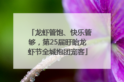龙虾管饱、快乐管够，第25届盱眙龙虾节全城抱团宠客
