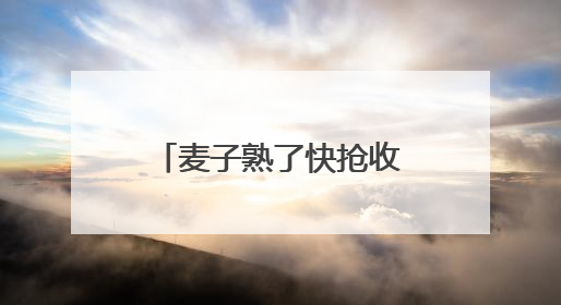 麦子熟了快抢收！未来三天河南大部天气晴好